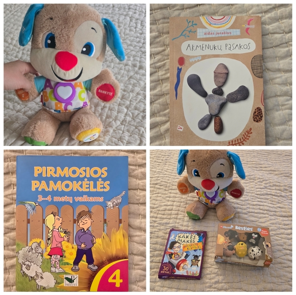 Lithuanian Speaking Fisher Price Dog, Books, Markers Set